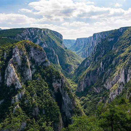 Antonijevic * Brestovac